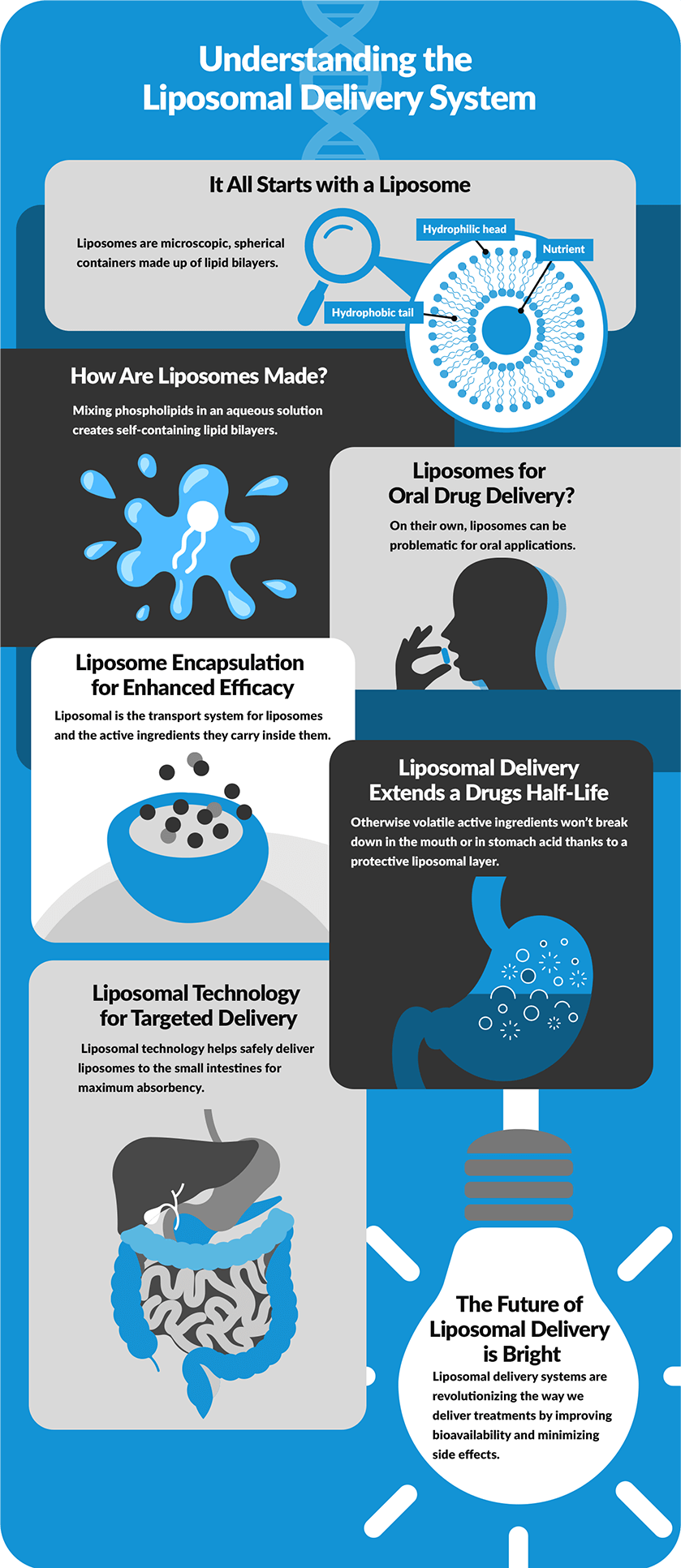Infograph: Understanding the Liposomal Delivery System