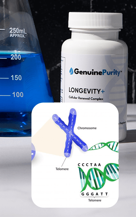 Chromosomes and Telomere