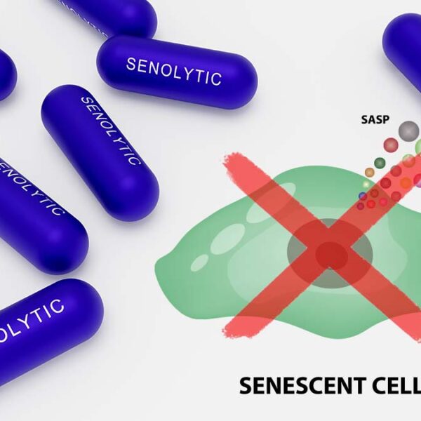 How Senolytic Compounds Combat Aging and Boost Health