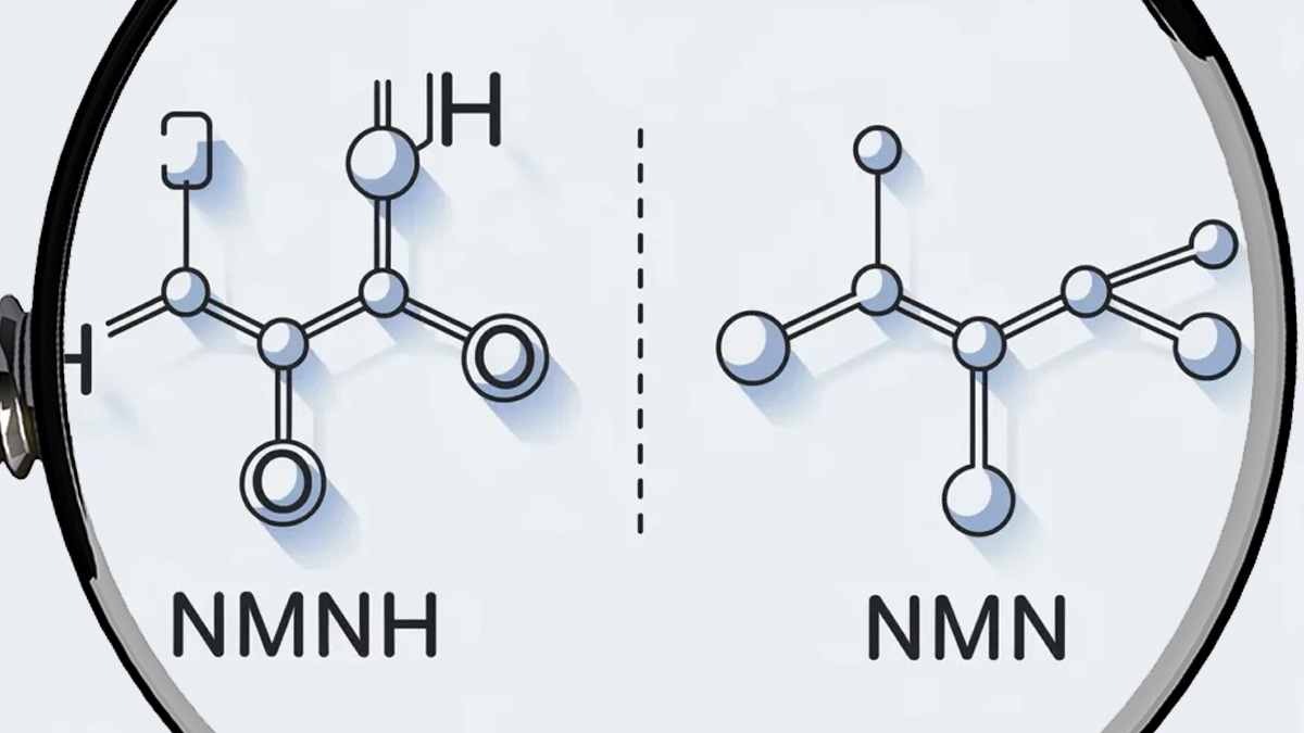 The Future of Anti-Aging: Understanding NMN and NMNH